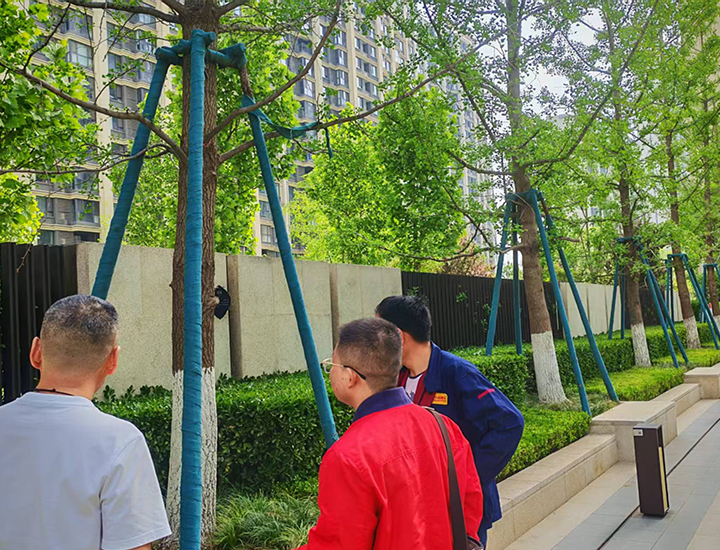 咸阳 万科大都会小区喷雾造景项目